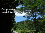 cuc phuong national forest