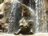 Elephant Waterfall
