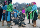 Lung Phin Market