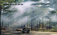 Valley of Love - the little Paris of Vietnam