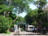cuc phuong national forest 