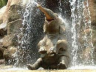 Elephant Waterfall 