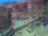 National Oceanographic Museum of Vietnam 